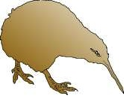 Kiwi NZ Clipart